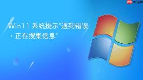 win11 系统提示“遇到错误,正在搜集信息”
