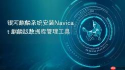 银河麒麟系统安装Navicat 麒麟版数据库管理工具