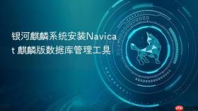 银河麒麟系统安装Navicat 麒麟版数据库管理工具