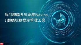 银河麒麟系统安装navicat 麒麟版数据库管理工具