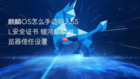 麒麟OS怎么手动导入SSL安全证书 银河麒麟浏览器信任设置