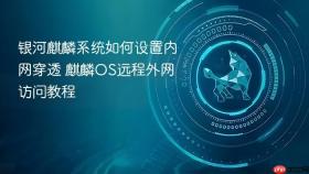 银河麒麟系统如何设置内网穿透 麒麟OS远程外网访问教程