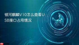 银河麒麟V10怎么查看USB接口占用情况