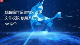 麒麟操作系统如何设置文件权限 麒麟系统chmod命令