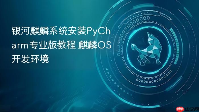 银河麒麟系统安装pycharm专业版教程 麒麟os开发环境