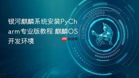银河麒麟系统安装PyCharm专业版教程 麒麟OS开发环境