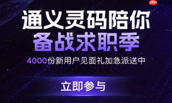 通义灵码能离线使用吗 阿里灵码网络依赖环境说明