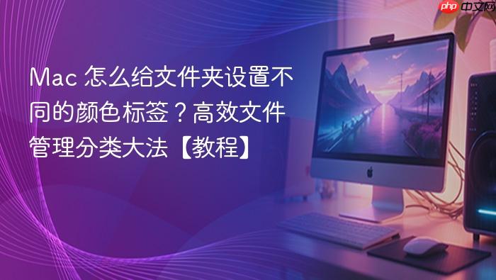 mac 怎么给文件夹设置不同的颜色标签?高效文件管理分类大法【教程】