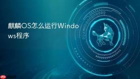 麒麟os怎么运行windows程序