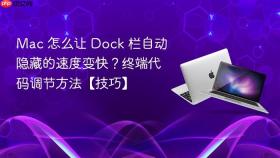 Mac 怎么让 Dock 栏自动隐藏的速度变快？终端代码调节方法【技巧】