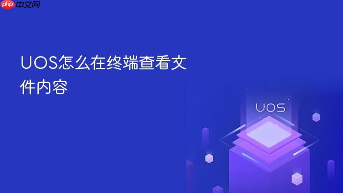uos怎么在终端查看文件内容
