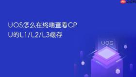UOS怎么在终端查看CPU的L1/L2/L3缓存