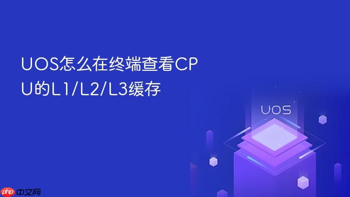 uos怎么在终端查看cpu的l1/l2/l3缓存
