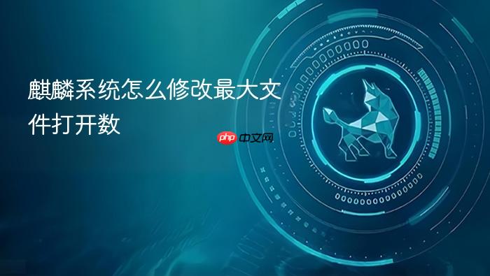 麒麟系统怎么修改最大文件打开数