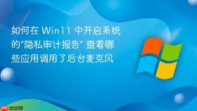 如何在 win11 中开启系统的“隐私审计报告” 查看哪些应用调用了后台麦克风