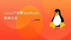 Linux下部署StarRocks数据仓库