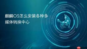 麒麟OS怎么安装各种多媒体转换中心