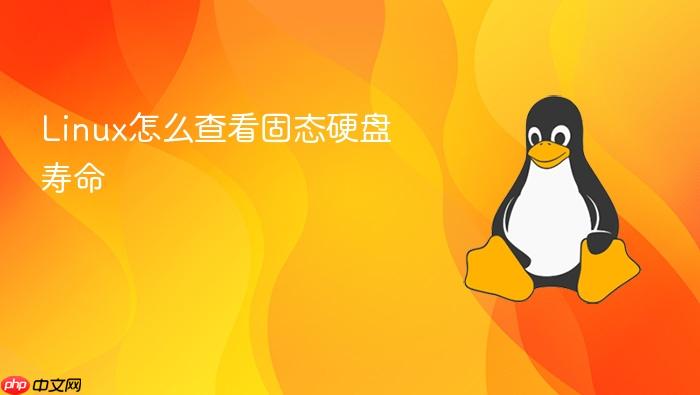 linux怎么查看固态硬盘寿命