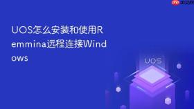 uos怎么安装和使用remmina远程连接windows