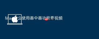 Mac怎么使用画中画功能看视频