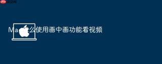 mac怎么使用画中画功能看视频