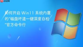 如何开启 win11 系统内置的“磁盘坏道一键深度自检”官方命令行