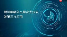 银河麒麟怎么解决无法安装第三方应用