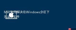 mac如何解决在windows分区下无法写文件