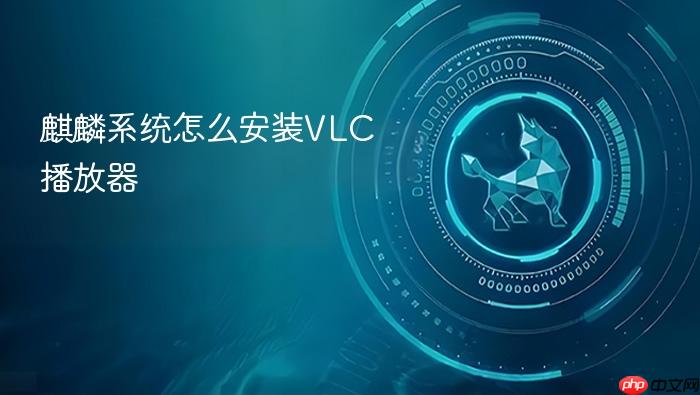 麒麟系统怎么安装vlc播放器