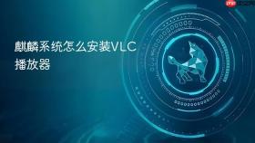 麒麟系统怎么安装VLC播放器