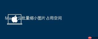 mac怎么批量缩小图片占用空间