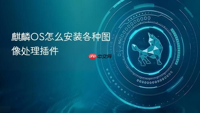 麒麟os怎么安装各种图像处理插件