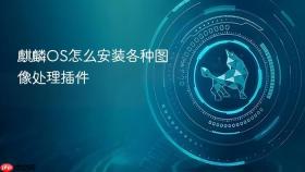 麒麟OS怎么安装各种图像处理插件
