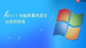 win11 电脑屏幕亮度自动忽明忽暗