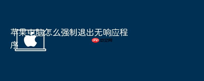 苹果电脑怎么强制退出无响应程序
