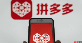 拼多多消费者服务大厅 官方在线答疑入口