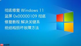 彻底修复 Windows 11 蓝屏 0x00000109 彻底修复教程 解决关键系统结构损坏故障方法