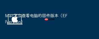 mac怎么查看电脑的固件版本(efiversion)