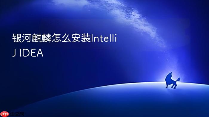 银河麒麟怎么安装intellij idea
