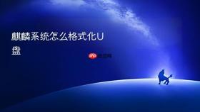 麒麟系统怎么格式化u盘