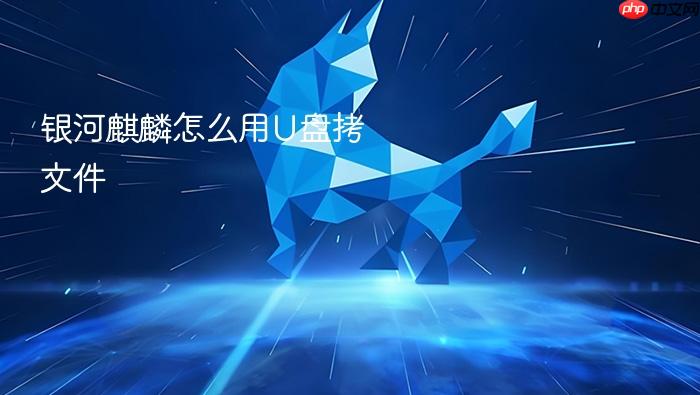 银河麒麟怎么用u盘拷文件