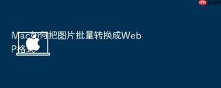 mac如何把图片批量转换成webp格式