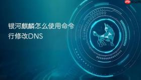 银河麒麟怎么使用命令行修改DNS