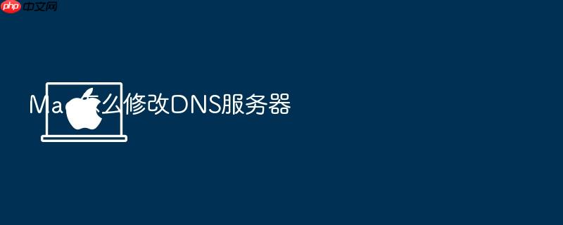 mac怎么修改dns服务器