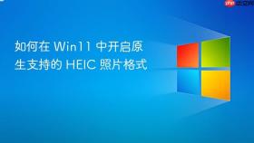 如何在 win11 中开启原生支持的 heic 照片格式
