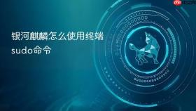 银河麒麟怎么使用终端sudo命令