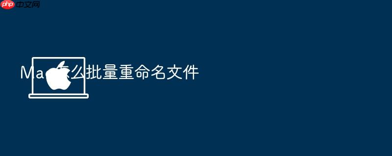 mac怎么批量重命名文件