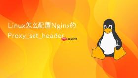 Linux怎么配置Nginx的Proxy_set_header