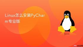 Linux怎么安装PyCharm专业版