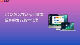 uos怎么在命令行查看系统的发行版本代号